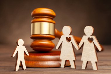 Eşcinsel bir ailenin çocuğu. Lezbiyen bir ailenin ebeveynlik haklarında evlat edinmek ya da sütten çıkmış ak kaşık olmak. İki lezbiyen el ele tutuşuyor, bir çocuk ve bir yargıç çekici.