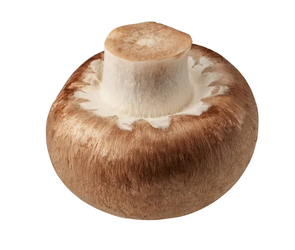 Ένα φρέσκο μανιτάρι champignon απομονώνονται σε λευκό φόντο με ψαλίδισμα διαδρομή — Φωτογραφία Αρχείου