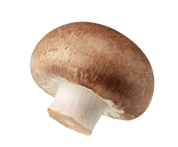 Один свежий гриб Champignon изолирован на белом фоне с вырезкой пути — стоковое фото
