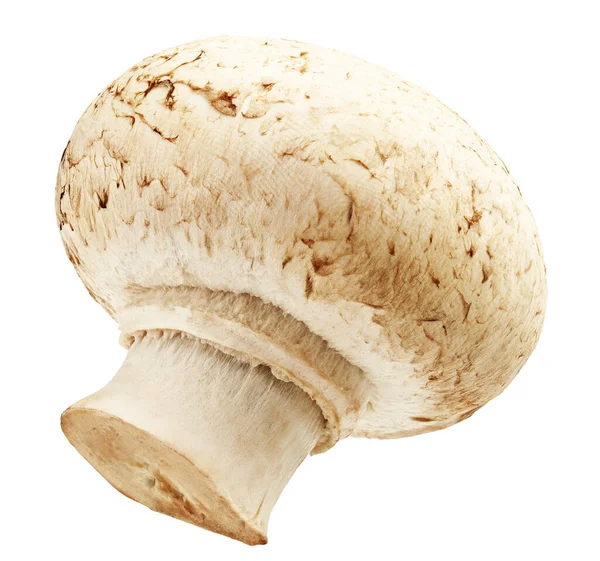 Один свежий грибы Champignon изолированы на белом фоне — стоковое фото
