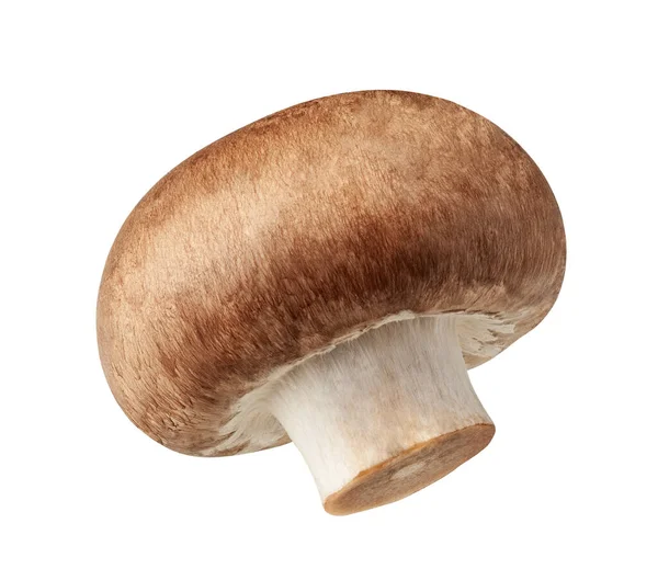 Один свежий гриб Champignon изолирован на белом фоне с вырезкой пути — стоковое фото