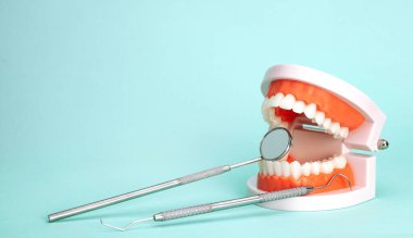 Yeşil arkaplan üzerinde dişçi araçları ile çene