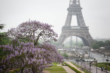 Eiffil Kulesi İlkbahar Çiçeği sırasında, Paris