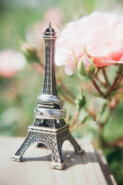 Alyans arka plan gül