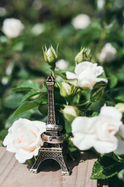 Alyans arka plan gül