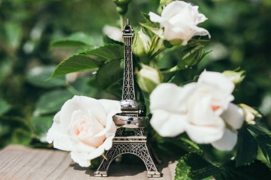 Alyans arka plan gül