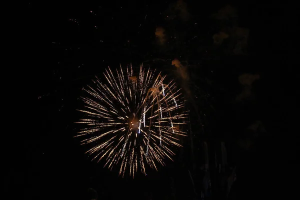 Tömeg Tűzijátékot Néz Ünnepel Gyönyörű Tűzijáték Világít Égen Újévi Ünnepség — Stock Fotó