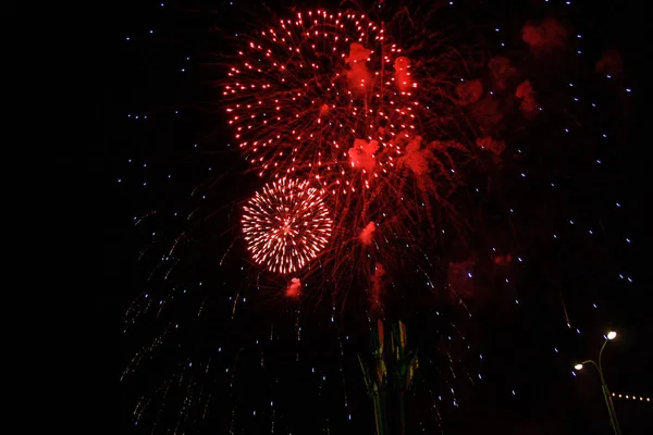 Menge Sieht Feuerwerk Und Feiern Schönes Feuerwerk Erhellt Den Himmel — Stockfoto