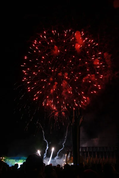 観客は花火を見て祝う 空を照らす美しい花火 新年のお祝い花火 — ストック写真