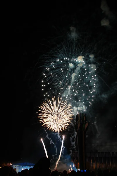 観客は花火を見て祝う 空を照らす美しい花火 新年のお祝い花火 — ストック写真