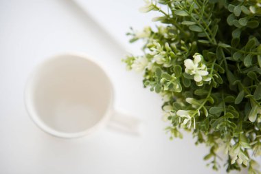 Beyaz fincanın yanında sabah ışığında yeşil bir bitki var.