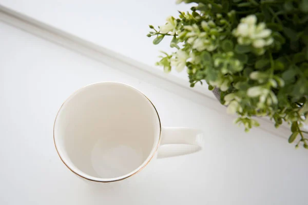 朝の光を背景に緑の植物と近い白いカップ — ストック写真