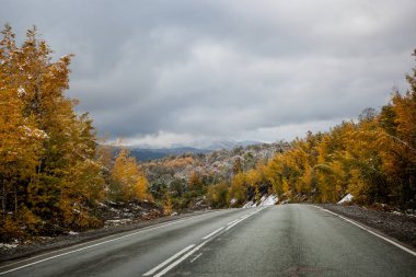 Sonbaharın sonlarında dağlarda asfalt yol, ilk kar ile kaplı altın orman, bulutlu gökyüzü