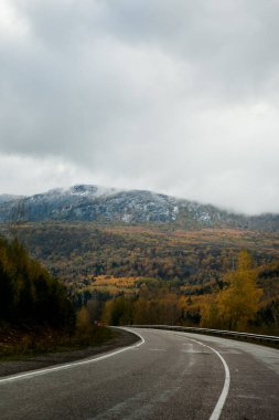 Dağlardaki karışık ormanların arasındaki yol gri gökyüzüne karşı