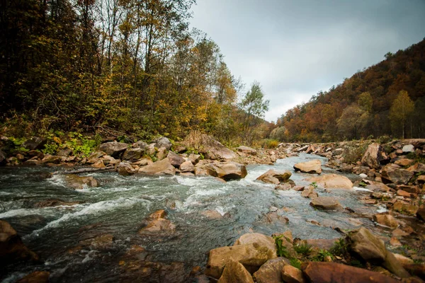 Écoulement Rapide Une Rivière Montagne Avec Eau Claire Parmi Les — Photo