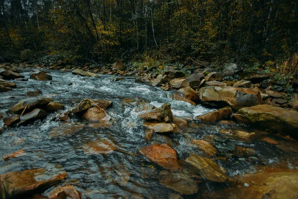Быстрое Течение Горной Реки Чистой Водой Среди Деревьев Поздней Осенью — стоковое фото