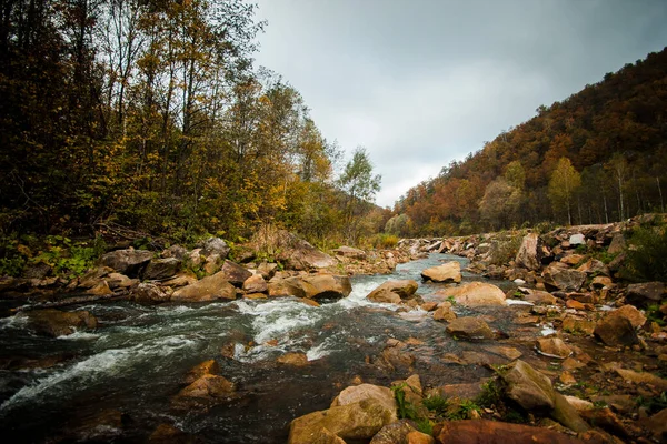 Écoulement Rapide Une Rivière Montagne Avec Eau Claire Parmi Les — Photo