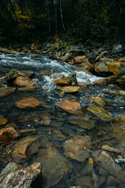 Rápido Flujo Río Montaña Con Agua Clara Entre Los Árboles — Foto de Stock
