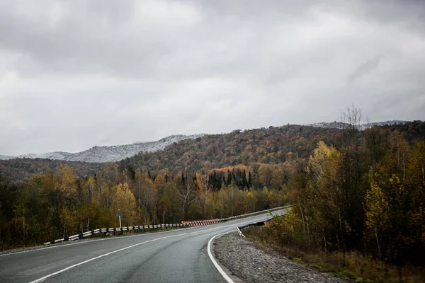 Droga Asfaltowa Górach Późną Jesienią Złoty Las Pokryty Pierwszym Śniegiem — Zdjęcie stockowe