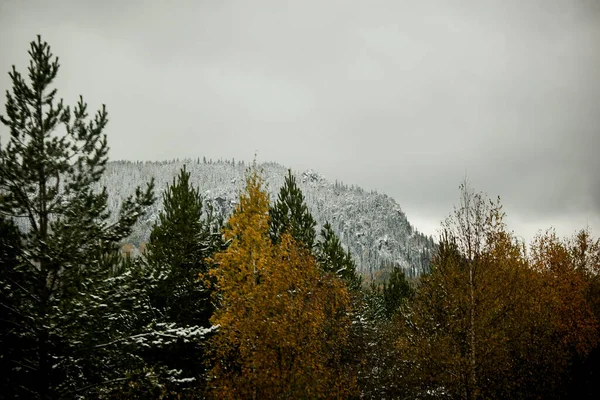 Górach Las Pokryty Pierwszym Śniegiem Późną Jesienią Zachmurzone Niebo — Zdjęcie stockowe
