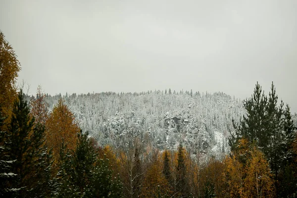 山の中には初雪に覆われた森があり — ストック写真