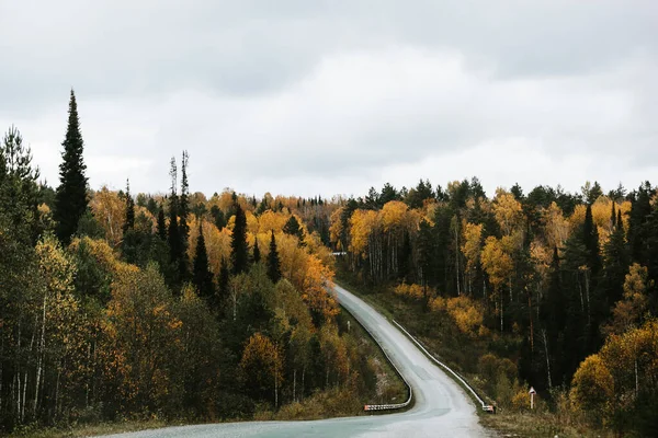 road among mixed forest in mountains against gray sky