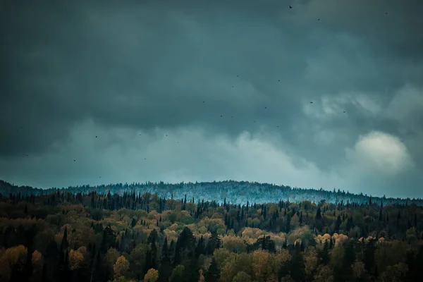 Blick Auf Die Schneebedeckten Berge Durch Den Herbstlichen Wald Bei — Stockfoto