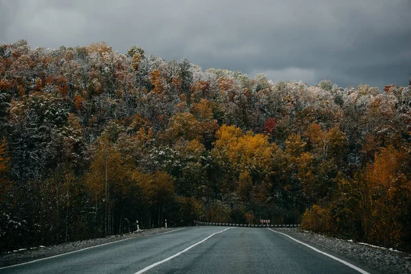 Асфальтовая Дорога Горах Поздней Осенью Золотой Лес Покрытый Первым Снегом — стоковое фото