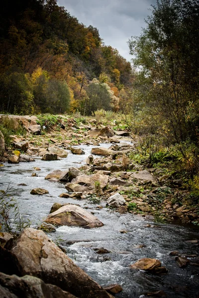 Быстрое Течение Горной Реки Чистой Водой Среди Деревьев Поздней Осенью — стоковое фото