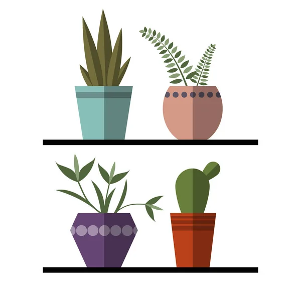 Растения и кактусы в кастрюлях, векторная иллюстрация — стоковый вектор