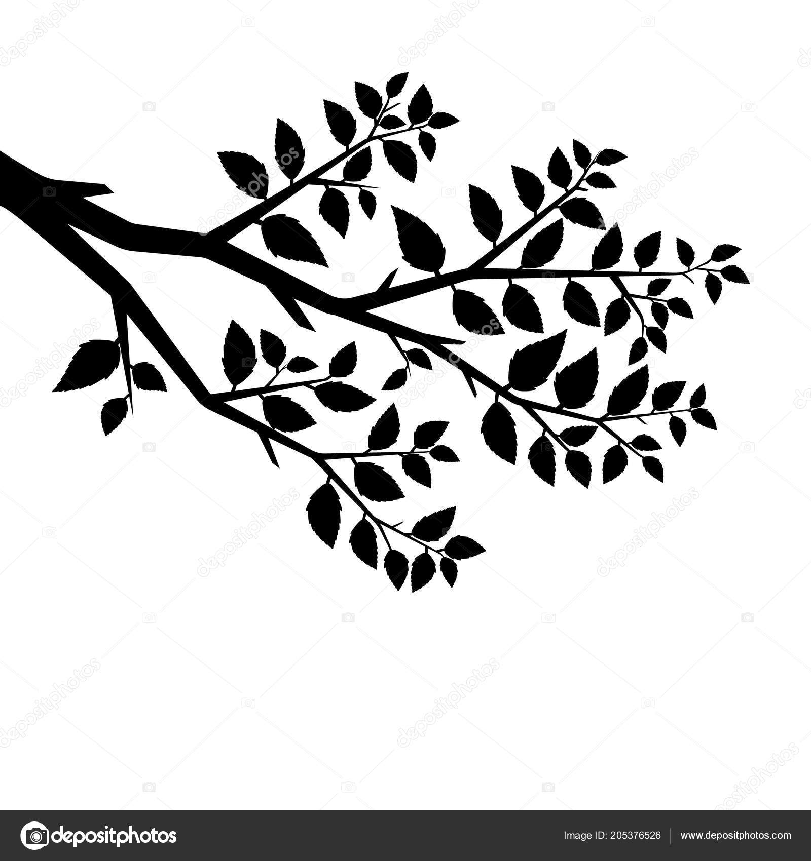 Vector silhouette of the branch tree Stock Vector by ©MarySkovpen 205376526