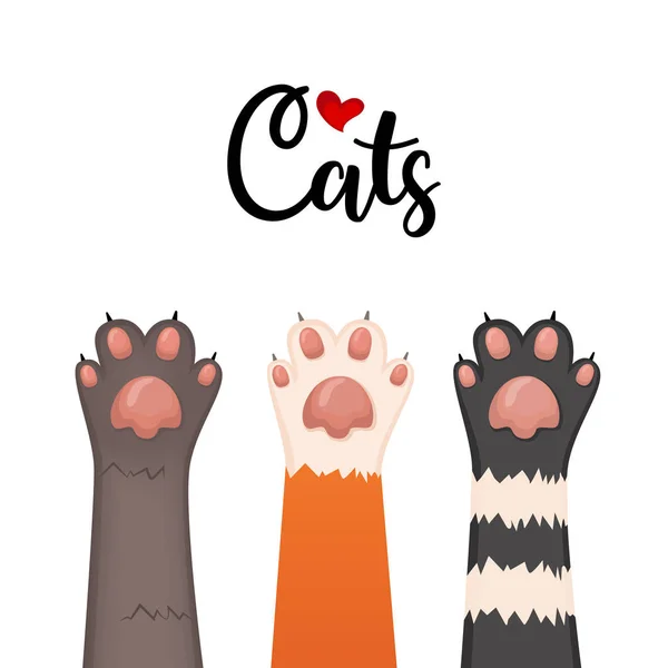 Kedi arka plan, yavru kedi çizgi film seti, vektör çizim paws.