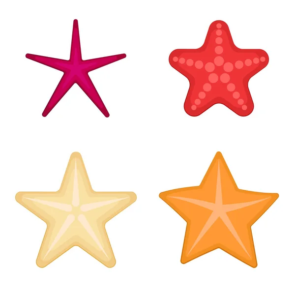 Starfish set on a white background. Vector — Stock Vector