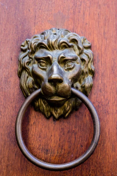 Tocador de puerta de latón antiguo en forma de cabeza de león., elemento de puerta con león metálico — Foto de Stock