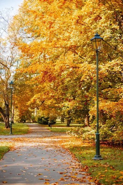 Όμορφο Φθινοπωρινό πάρκο με φαναριών οδών. Φωτεινό κίτρινο και πορτοκαλί, κόκκινα χρώματα του φθινοπώρου φύλλα στα δέντρα — Φωτογραφία Αρχείου