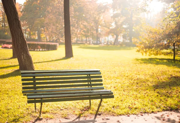 Empty bench in the park, in autumn golden and yellow colors — Stock Photo, Image