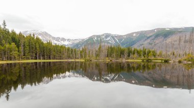 Smreczynski Pond, Tatra Ulusal Parkı, Polonya. Ormandaki Dağ Gölü