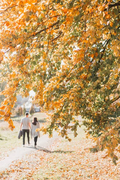 Una Feliz Pareja Caminando Por Bosque Tomados Mano — Foto de Stock