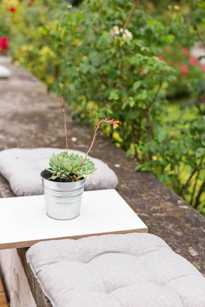 Bir kafede ya da evde masası olan teras, açık havada sulu saksılar, manzara tasarımı.