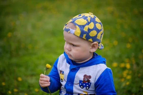 Malý Roztomilý Evropské Chlapec Sedí Zeleném Trávníku Žluté Pampelišky Krásný — Stock fotografie