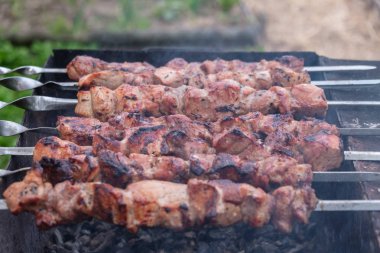 şiş kebap domuz eti ızgara duman ile kömürlerin üzerinde üzerinden hazırlanması