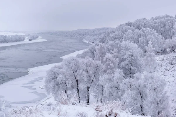 Beautiful Winter Landscape Wide River Snow Covered Silvery Trees Banks — Stock Photo, Image