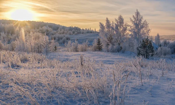 Wunderschöne Winterlandschaft Die Strahlen Der Aufgehenden Sonne Über Den Schneebedeckten — Stockfoto