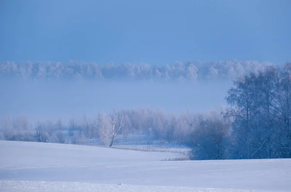 Beautiful Winter Landscape Snow Covered Trees Fog Sunny Day — Stock Photo, Image