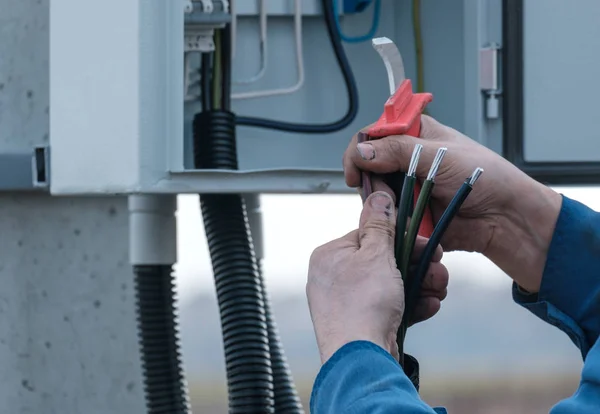 master electrician cleans the insulation from the wires. installation of an electric shield. electrician's hands with wires close-up