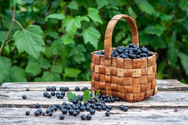 eski ahşap tahtalar üzerinde vintage hasır sepet taze toplenmiş frenk üzümü çilek