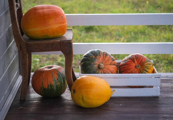 Calabazas de colores grandes en la terraza de una casa de campo de verano en una caja y en una silla — Foto de Stock