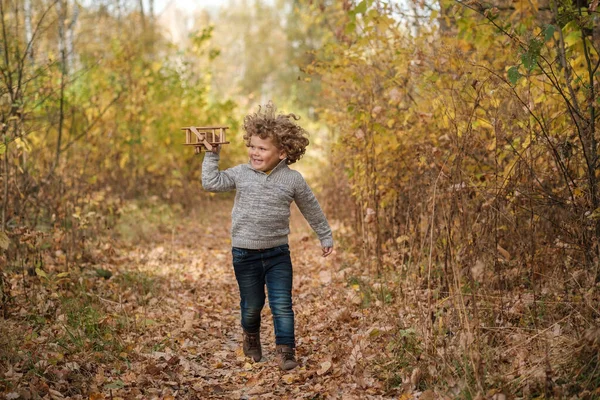 Kıvırcık saçlı şirin çocuk sonbahar parkında tahta uçakla oynuyor.