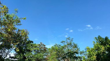 Geniş açılı gökyüzü görüntüsü kabarık bulutlar ve ağaç siluetleri, arka plan için ideal sakin yaz sahnesi, doğa temelli kavramlar, sürdürülebilirlik, refah ve ilham.