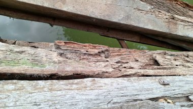 Çürümüş Tahta Plank Doğal Çatlaklar ve Organik Doku, Termit İstilası ve Hava Durumu Etkisi